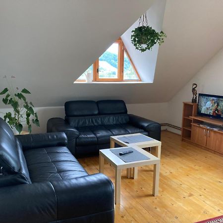 Apartman Pod Laznema Jeseník Kültér fotó